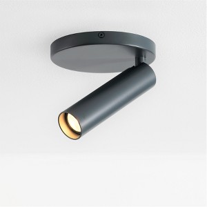 VidaLite Karpo Pinhole LED Spotlight Gray: Adjustable Head, Wall or Ceiling Mount, Integrated LED, UL Listed - 1 of 4