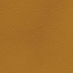 alabama crimson tide script a