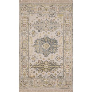 Hauteloom Chaela Living Room, Bedroom Area Rug - Traditional - 1 of 4