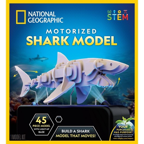 National Geographic Shark Model : Target