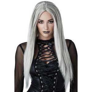 California Costumes Grey Gothic Matriarch Adult Wig - 1 of 2