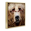 Stupell Industries Grizzly Bear with Glasses, 18" x 18" - 3 of 4