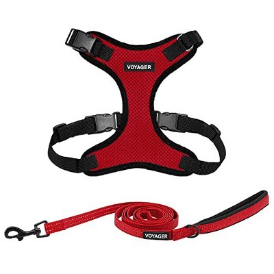 Voyager Step-In Lock Adjustable Dog & Cat Harness and 5ft Leash Combo