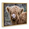 Stupell Industries Baby Cattle Licking Lips, 31" x 25" - 3 of 4