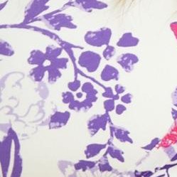 plum burst butterfly floral