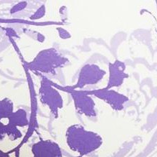 plum burst butterfly floral