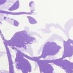 plum burst butterfly floral