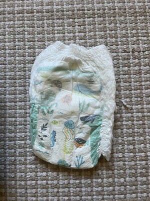 Guest review image 2 of 5, zoom in