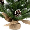 Northlight 2 FT Frosted Norway Pine with Pine Cones Medium Artificial Christmas Tree, Unlit - 3 of 4