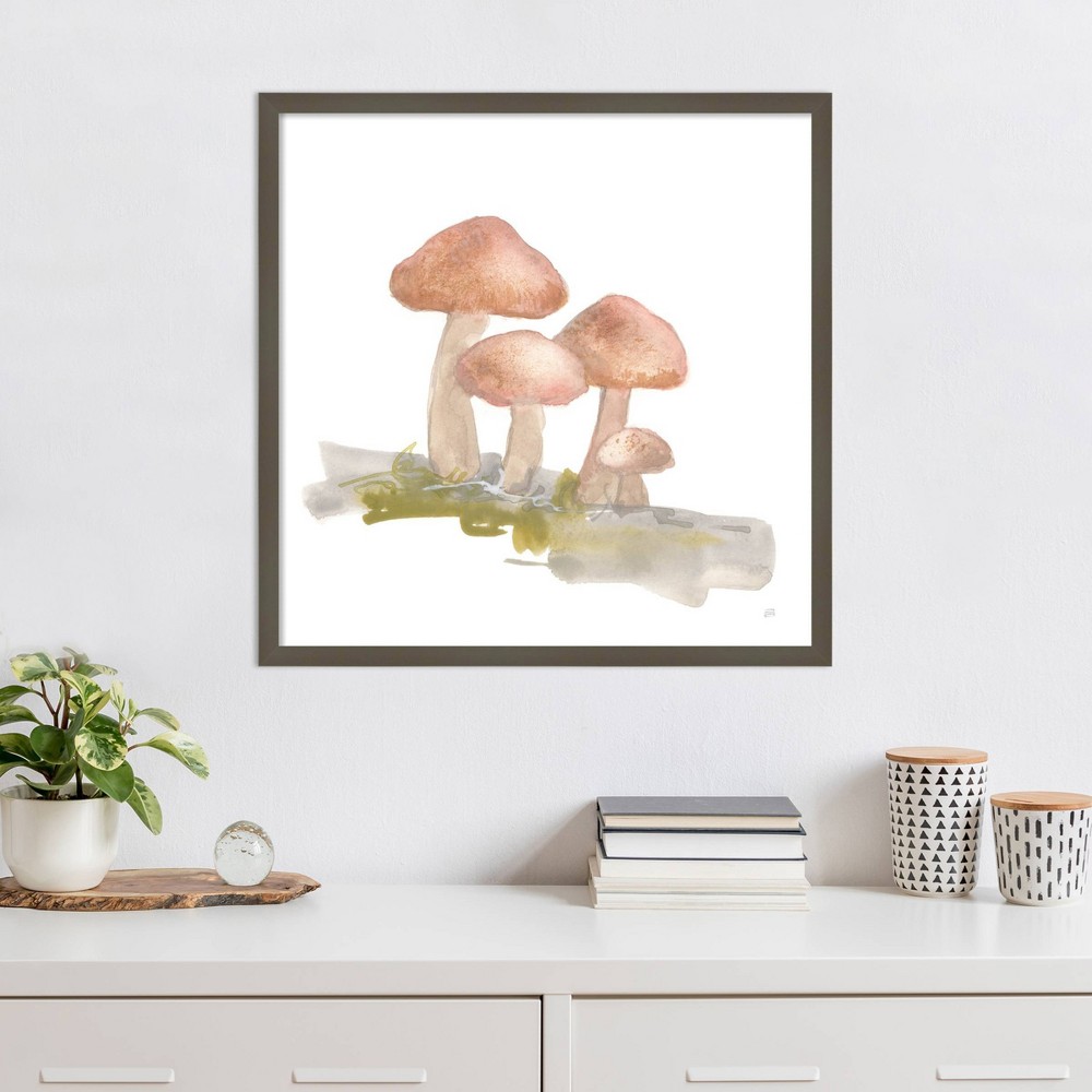 Photos - Other Decoration Amanti Art 25"x25" Mellow Mushrooms II by Chris Paschke Wood Framed Wall Art Print