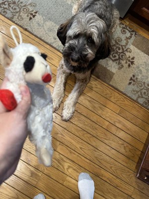 Guest review image 1 of 2, zoom in