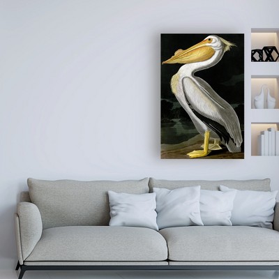 American White Pelican Portrait Canvas Print, 32" x 22"