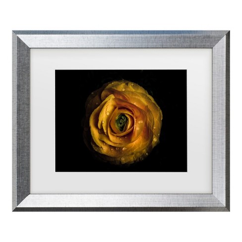 Trademark Fine Art - Brian Carson Backyard Flowers 72 Matted Framed Art ...