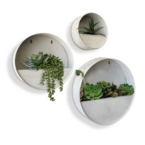 Modern Home Round Living Wall Mounted Galvanized Steel/Zinc Succulent/Herb Planter - 1 of 4