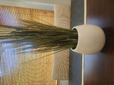 Guest review image 1 of 2, zoom in