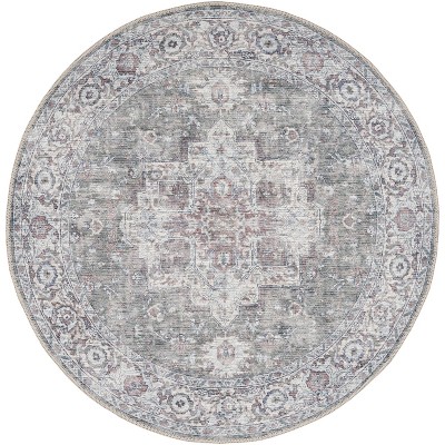 Nourison New Concept Washables Vintage Indoor Area Rug