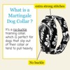 Country Brook Petz HossFit Jr Wide Martingale Dog Collar - Summer Breeze Collection - 2 of 4