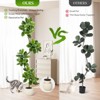 Garvee Fiddle Leaf Fig Tree Artificial Indoor, Faux Rubber Tree with Sphere Planter, Tall Artificial Plants with Moss for Home Decor Office - 3 of 4