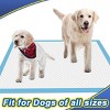 80 Pcs 30" x 36" Premium Disposable Training Pads, Pee Pads, Training Pads, Disposable Puppy Pee Pads, Quick Absorb and Odor Control - 4 of 4