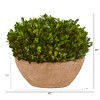 Nearly Natural 12-in Boxwood Preserved Plant in Oval Planter - 2 of 2