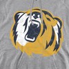 New York Institute of Technology Official Distressed Primary Logo Adult Pull-Over Hoodie - 2 of 4