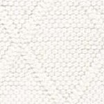 ivory/ivory