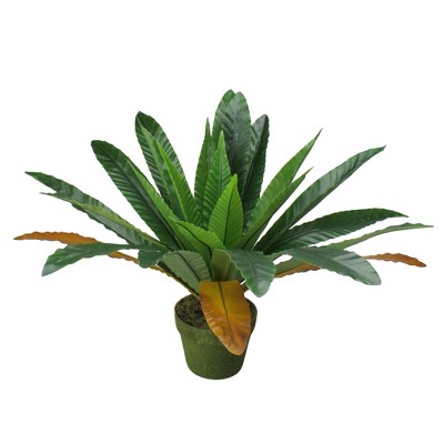 Northlight 22" Bird Nest Fern Artificial Potted Plant - Green/Brown