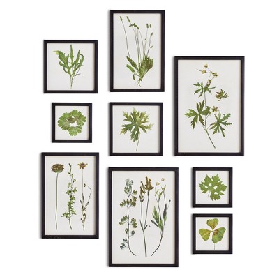 Plum & Post Foliage Prints, Set Of 9