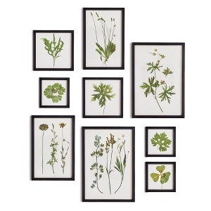 Plum & Post Foliage Prints, Set Of 9 - 1 of 4