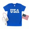 The Juniper Shop USA Distressed Stars Youth Short Sleeve Tee - 3 of 4