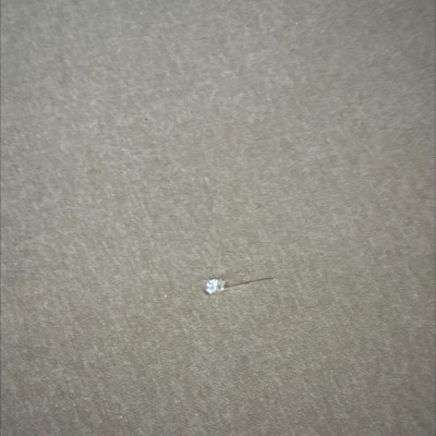 Guest review image 1 of 1, zoom in