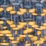 blue/gold