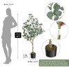 Plant Eucalyptus Tree 4/6 ft Tall, Modern Large Fake Plant Decor in Pot for Indoor Outdoor - 2 of 4