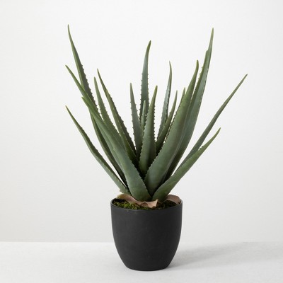 Sullivans Artificial Potted Aloe 24"H Green