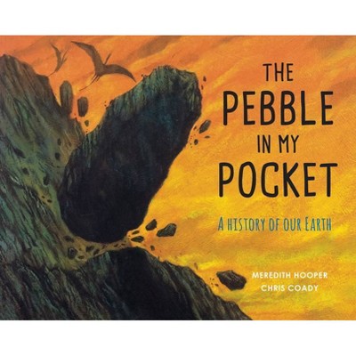 The Pebble in My Pocket - by  Meredith Hooper (Paperback)