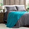 Hastings Home Oversized Polyester Microfiber Velvet Throw Blanket - Lagoon Green - image 4 of 4