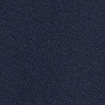 radiant navy