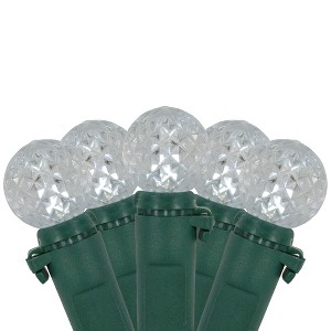 Northlight LED G12 Berry Christmas Lights - Pure White - 16' Green Wire - 50 ct - 1 of 4