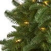 Nearly Natural 3-ft South Carolina Spruce Artificial Christmas Tree with 100 White Warm Light and 458 Bendable Branches - 3 of 4