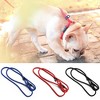 Nylon Dog Leash Dog Traction Belt Pet Harness Straps Pet Supplies black - 4 of 4