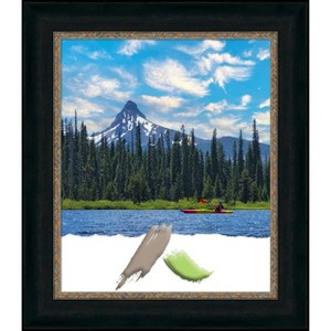 Amanti Art Paragon Bronze Picture Frame - 1 of 4