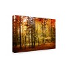 Trademark Fine Art -Philippe Sainte-Laudy 'Fall Color' Canvas Art - 3 of 4