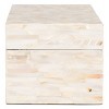 Sabryna Set Of 2 Boxes - STG1810A - Champagne - Safavieh - 4 of 4