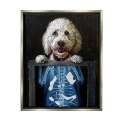Stupell Industries Funny Dog X-Ray Snacks Framed Canvas