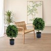 20" Artificial Topiary Trees 2-Pack, Faux Boxwood Plants with Fruits in Nursery Pots for Indoor Outdoor Decor - 4 of 4
