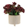Sagebrook Home 2pc Footed Scratched Ceramic Indoor Outdoor Planter Pots Champagne: Rust-Resistant, No Tools Assembly - 2 of 4