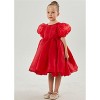 2Bunnies Girls' Organza Puff Sleeve Babydoll Fit & Flare Dress - 4 of 4