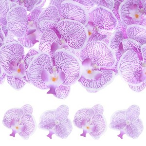 Unique Bargains Silk Plastic Durable Handcrafted Artificial Orchid Flower Heads 20 Pcs - 1 of 4