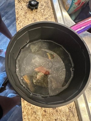 Guest review image 5 of 5, zoom in