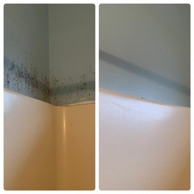 Clorox® Plus Tilex® Mold & Mildew Remover